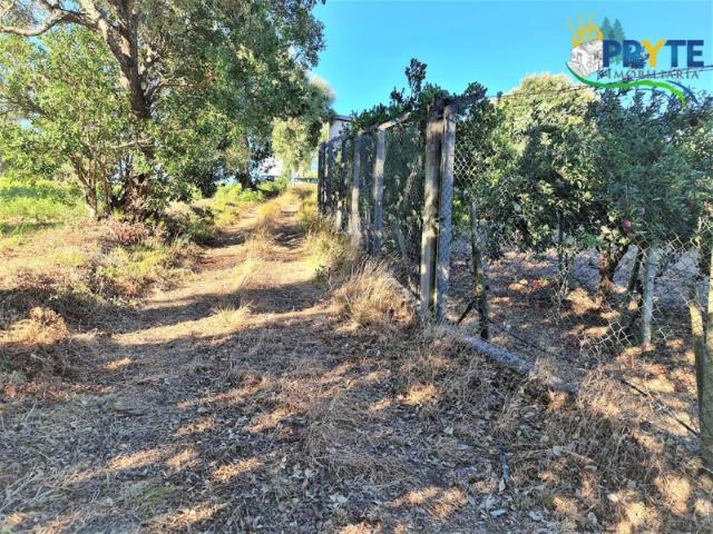 Quinta venda em Castelo Branco, Cumeada