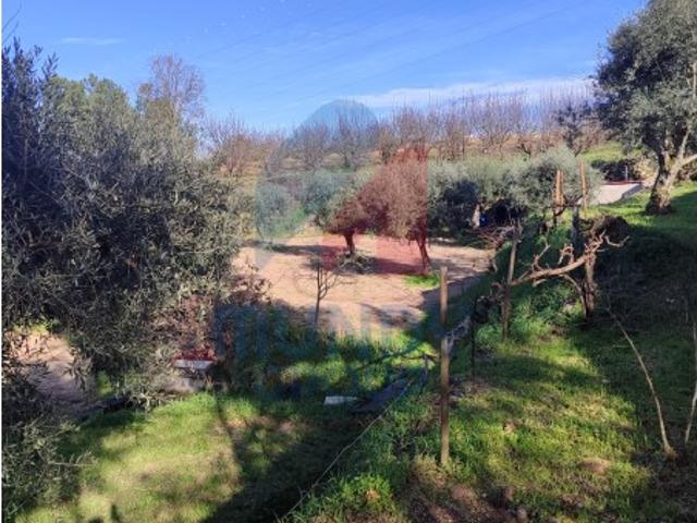 Quinta venda em Castelo Branco, Ferro