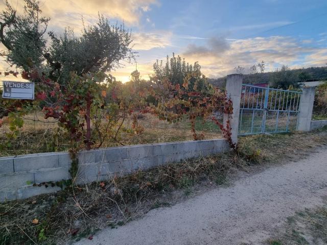 Quinta venda em Castelo Branco