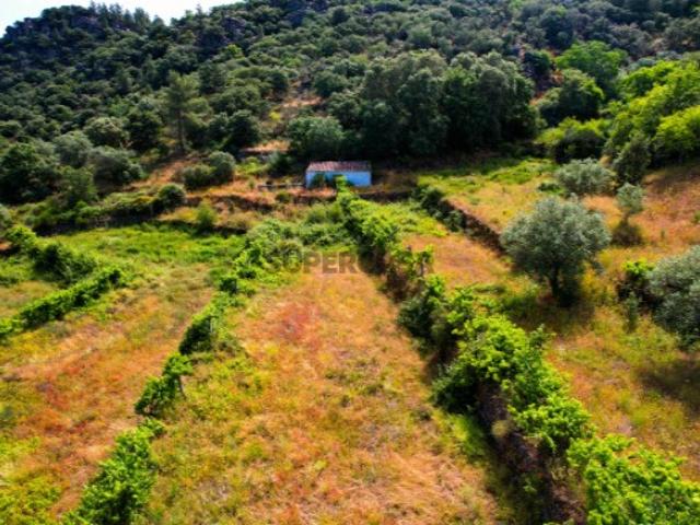 Terreno venda em Guarda
