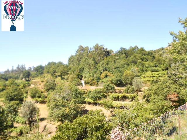 Casa venda em Arcos De Valdevez, Viana Do Castelo