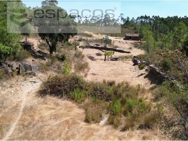 Quinta venda em Castelo Branco