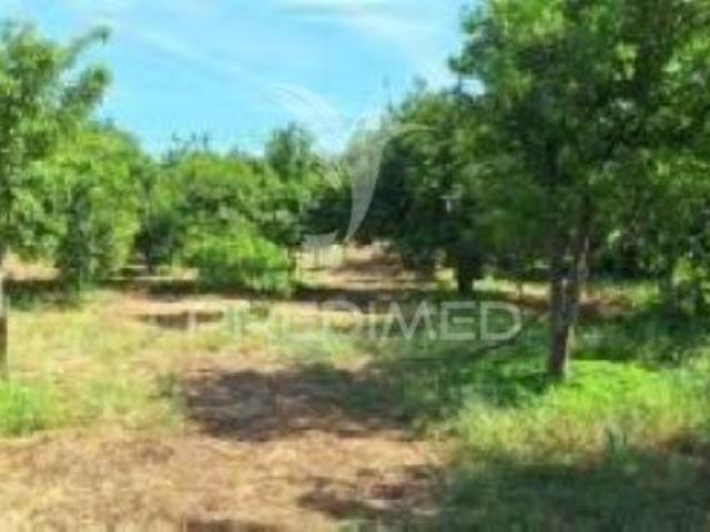 Quinta venda em Azenha Cimeira, Vila Viçosa