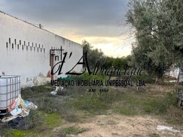 Quinta venda em Avis, Portalegre
