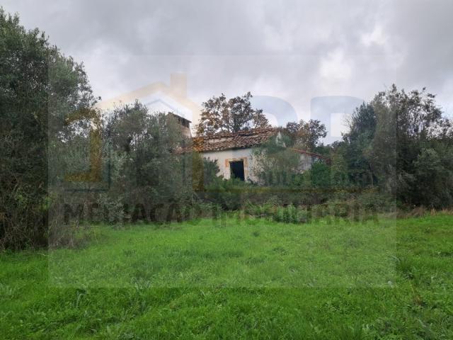 Quinta venda em Portalegre