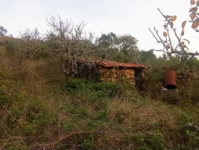 Terreno venda em Mafra, Lisboa