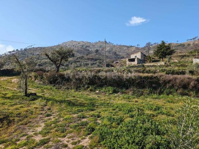 Quinta venda em Guarda