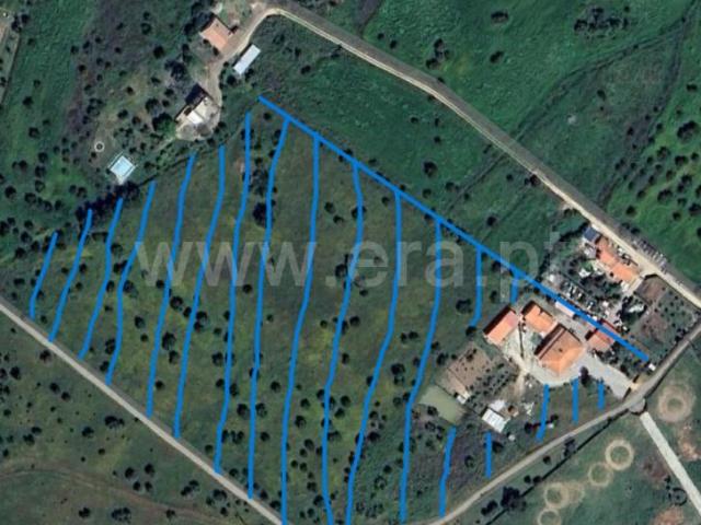 Quinta venda em Bacelo e Senhora da Saúde, Évora