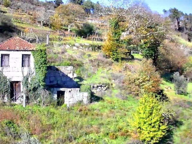 Quinta venda em Arufe, Baião