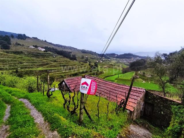 Quinta venda em Baião, Porto