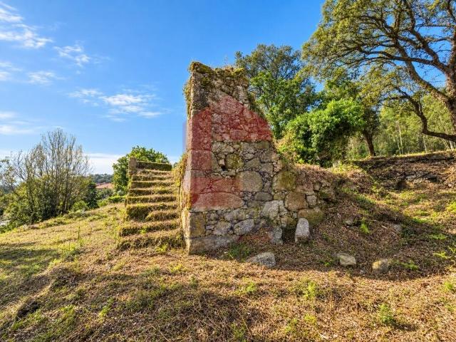 Quinta venda em Vila Verde e Barbudo, Vila Verde