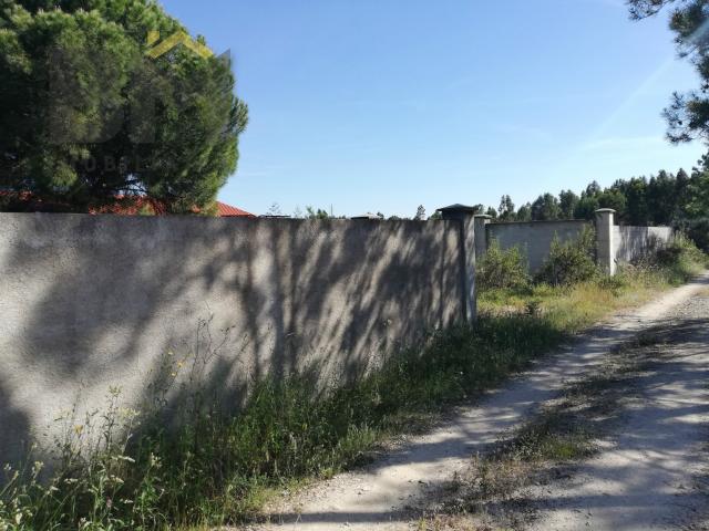 Quinta venda em Castelo Branco
