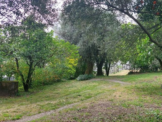 Vivenda venda em Fonte Arcada e Oliveira, Póvoa de Lanhoso