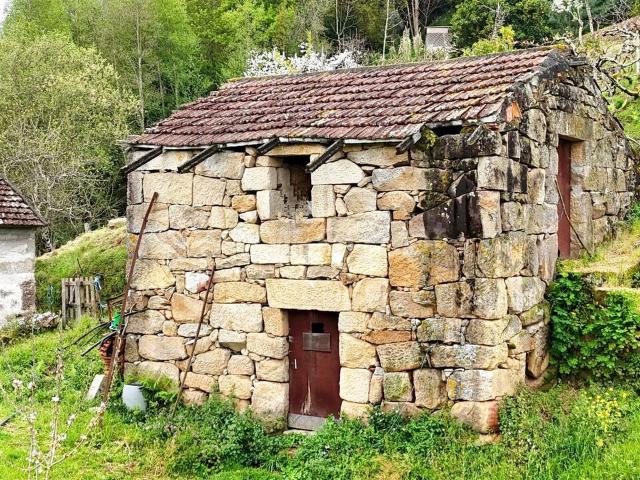 Quinta venda em Santiago De Piães, Viseu