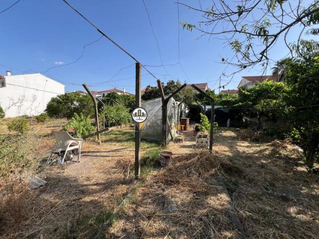 Terreno venda em Castelo Branco