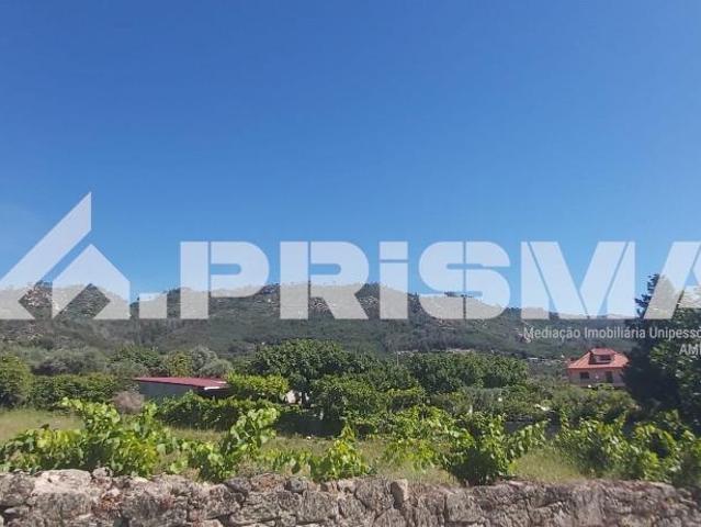 Terreno venda em Castelo Branco
