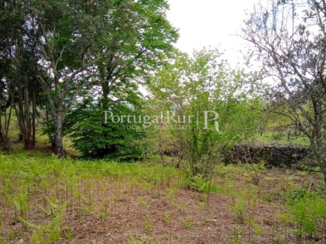 Quinta venda em Portalegre