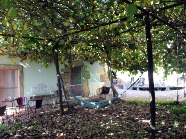 Quinta venda em Alvelhe, Oliveira De Azeméis