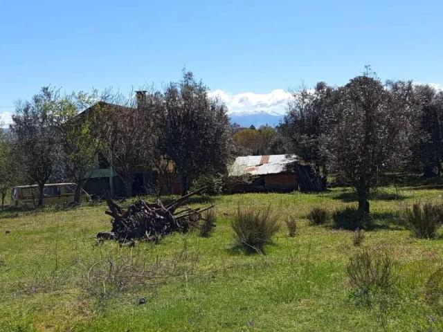 Vivenda venda em Santar e Moreira, Nelas