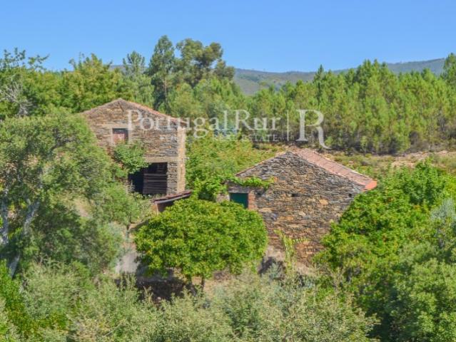 Quinta venda em Castelo Branco, Proença-a-nova