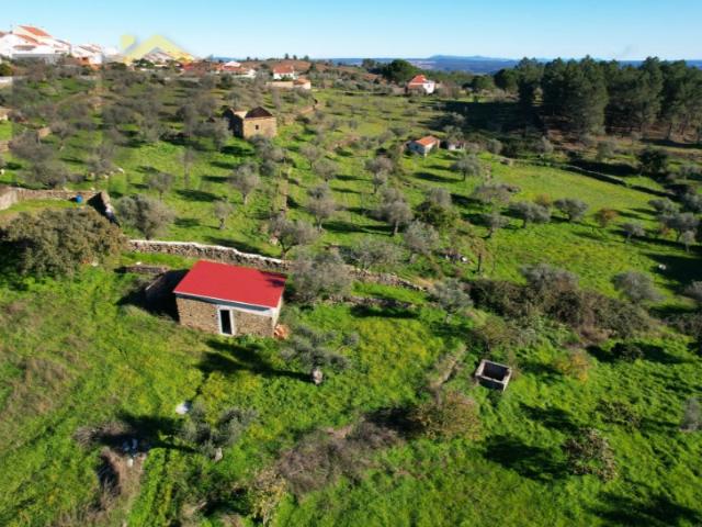 Quinta venda em Castelo Branco, Vila Velha De Ródão