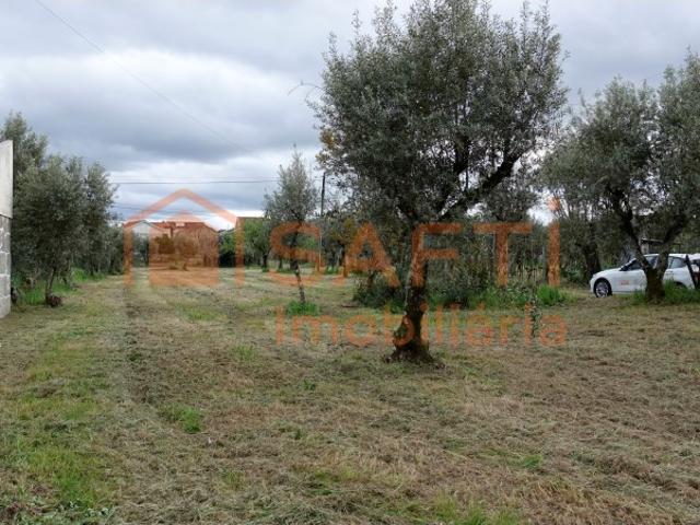 Quinta venda em Lapa do Lobo, Nelas