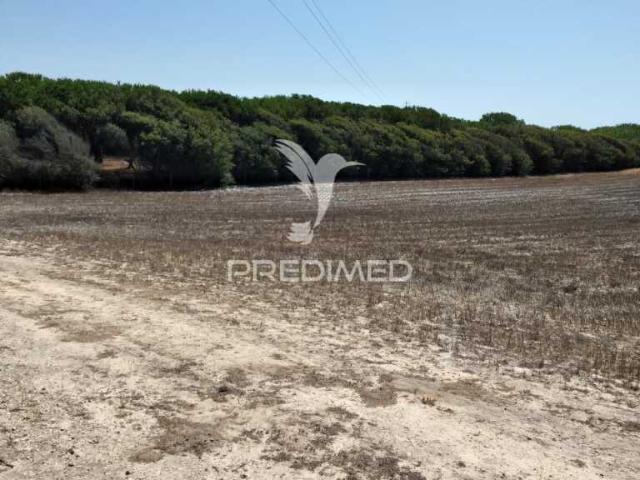 Terreno venda em Sines, Setúbal