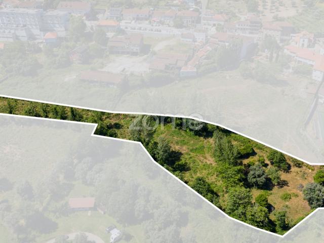 Quinta venda em Cabeceiras De Basto, Braga