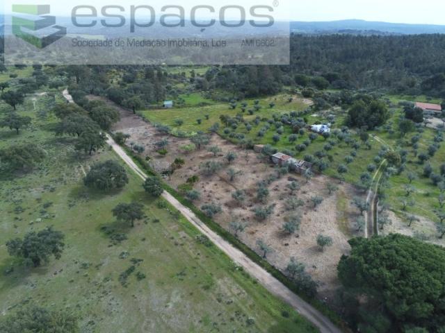 Quinta venda em Lousa, Castelo Branco