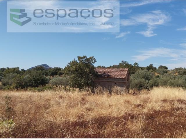 Terreno venda em Castelo Branco, Penamacor