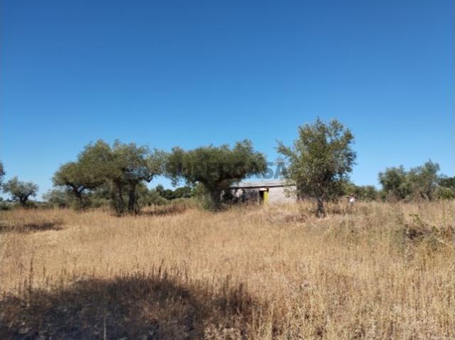 Casa venda em Castelo Branco