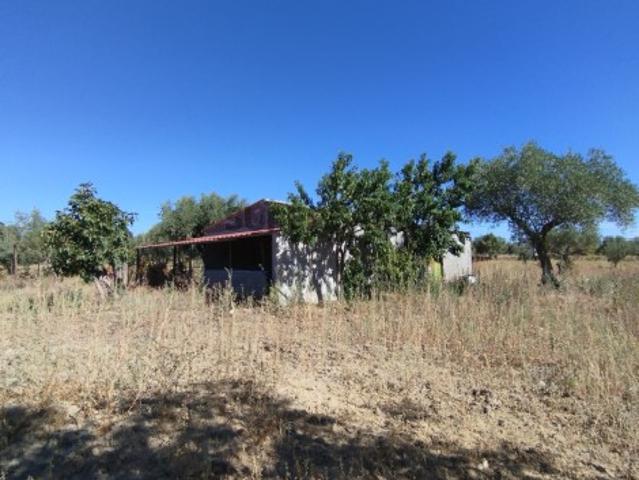 Terreno venda em Castelo Branco