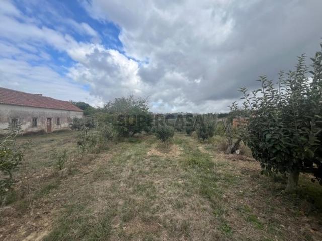 Casa venda em Bombarral, Leiria