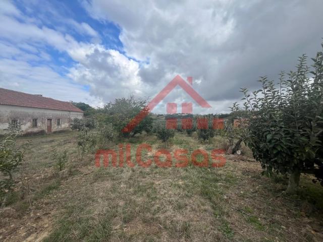 Quinta venda em Bombarral, Leiria