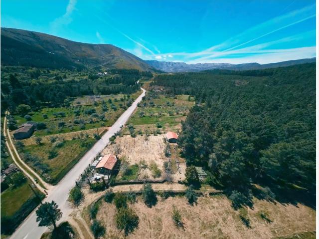 Quinta venda em Castelo Branco