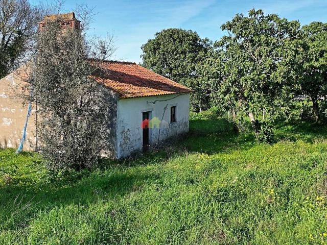 Quinta venda em Montemor-o-novo, Évora