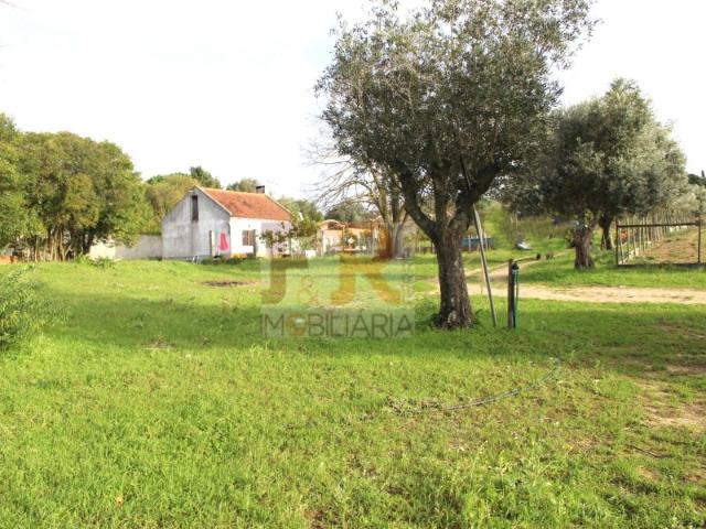 Quinta venda em Azeitão (São Lourenço e São Simão), Setúbal