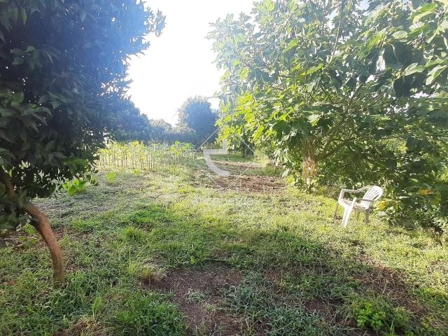 Quinta venda em Arcos De Valdevez, Viana Do Castelo