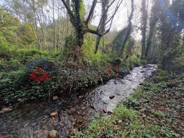 Vivenda venda em Monchique, Faro