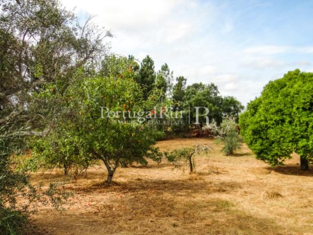 Quinta venda em Castelo Branco, Proença-a-nova
