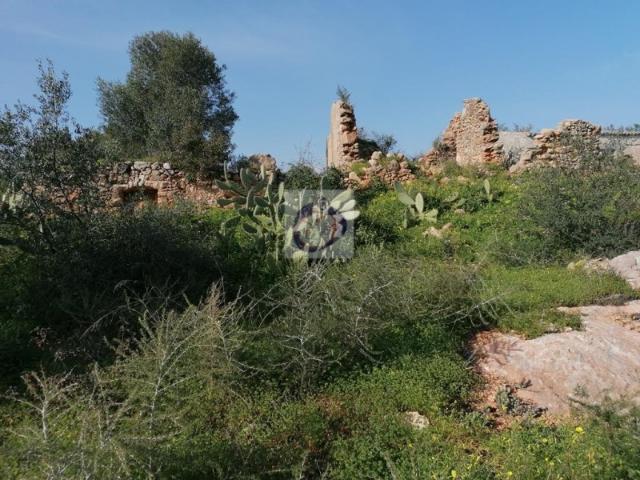 Quinta venda em Olhão, Faro