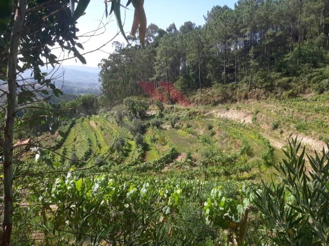 Quinta venda em Boalhosa, Viana Do Castelo