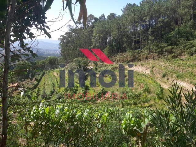 Quinta venda em Boalhosa, Viana Do Castelo