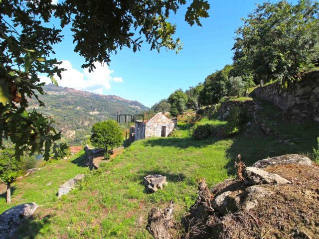 Quinta venda em Tarouquela, Viseu