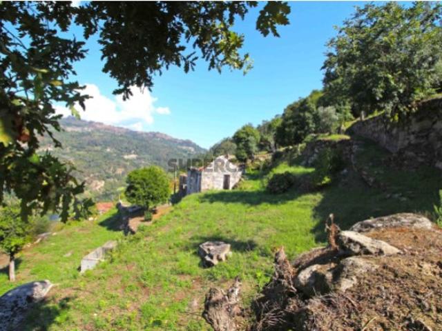 Casa venda em Tarouquela, Viseu