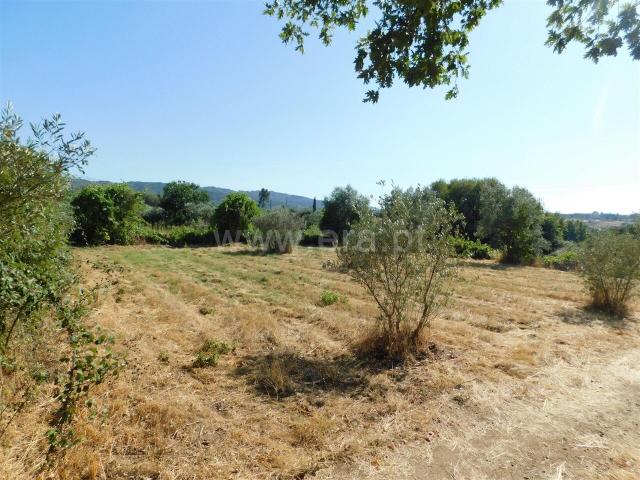 Quinta venda em Castelo Branco, Peraboa
