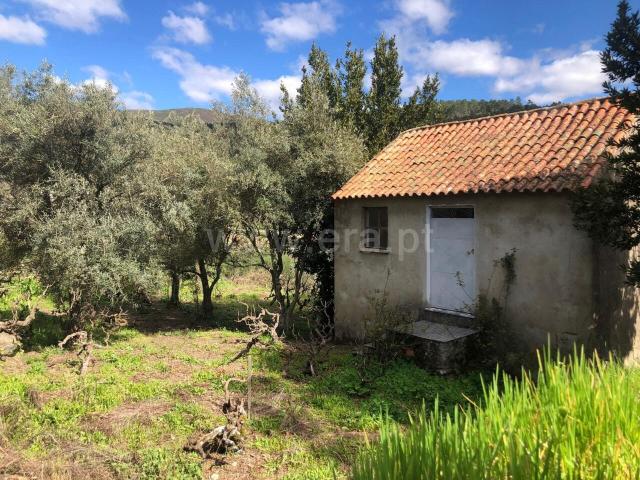 Quinta venda em Castelo Branco, Verdelhos
