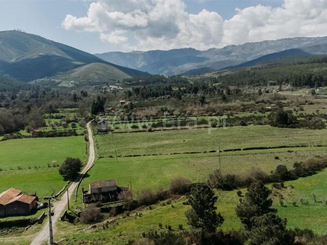 Quinta venda em Castelo Branco, Verdelhos