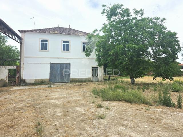 Quinta venda em Torres Novas, Santarém