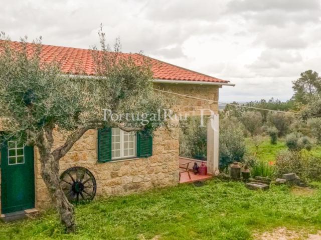 Quinta venda em Castelo Branco